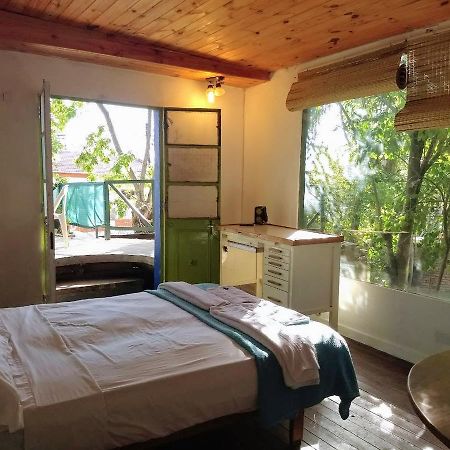 Villa Rosa Residencia De Artistas Tigre Dış mekan fotoğraf